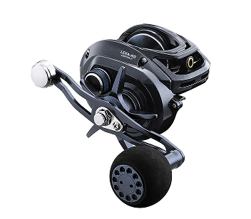 Casting Reels